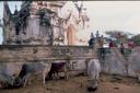 More signs of day to day life amongst the temple buildings.